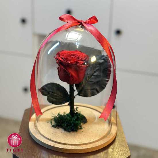Classic Red Eternal Rose