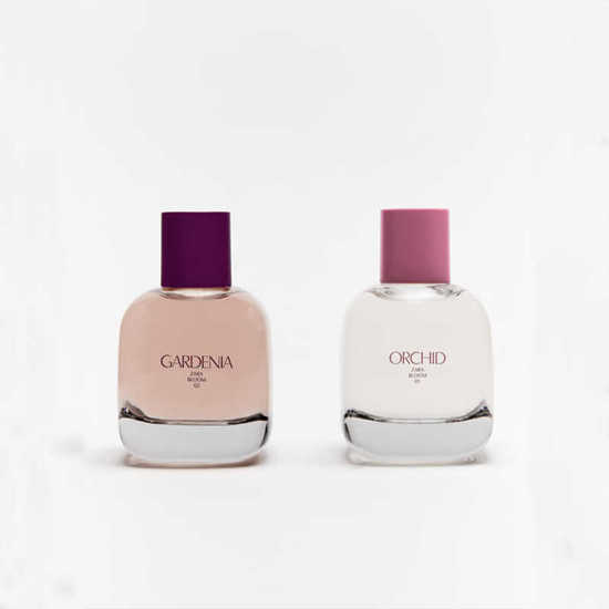 Zara Orchid & Gardenia For Women