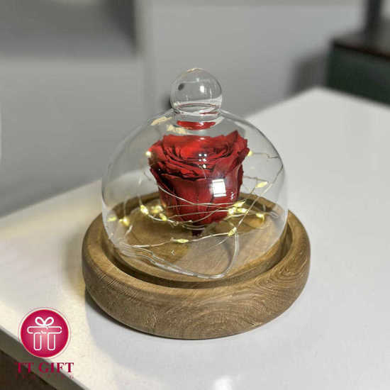 Red Eternal Rose 3