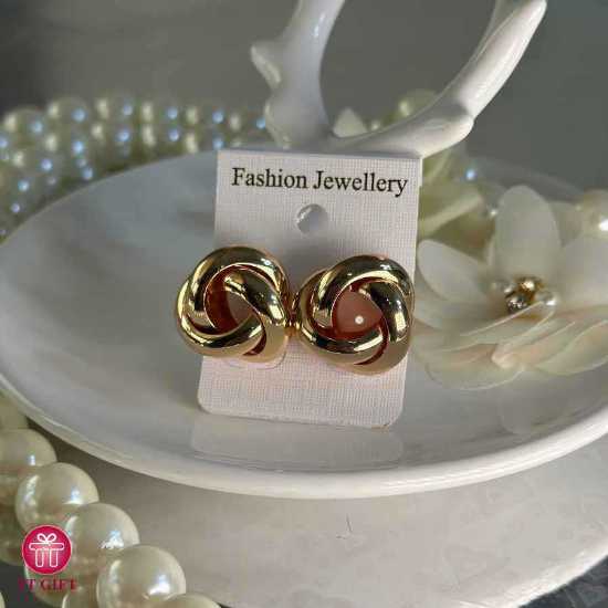 Bahareh Steel earrings