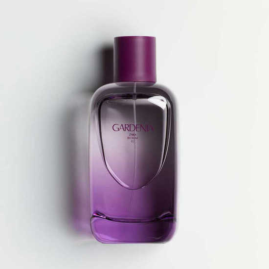 Zara Gardenia For Women