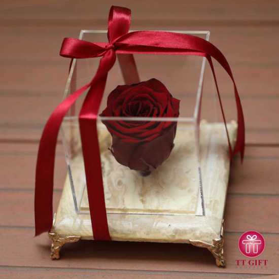The Red Eternal Rose with a stone base