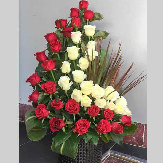 Asra Red and White Rose Flower Box for Courtship Ceremony