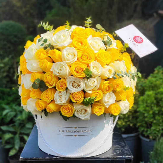 Noushin Luxury Yellow and White Rose Flower Box
