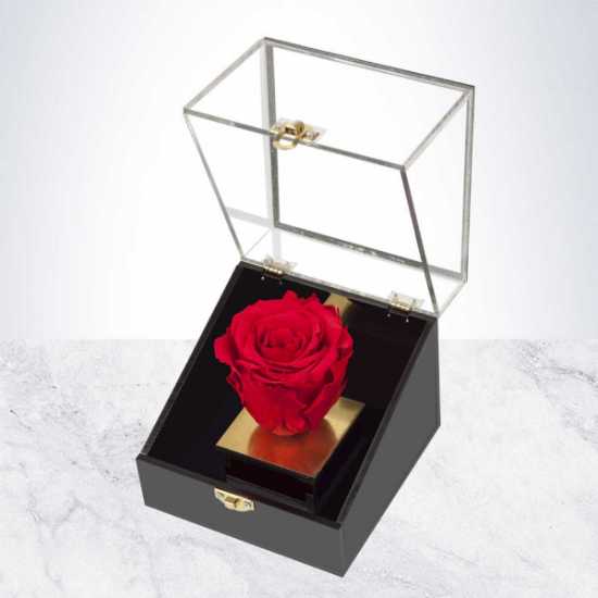 Red Eternal Rose box