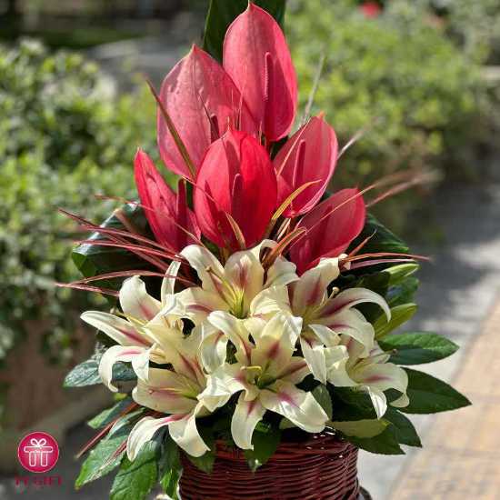 Hana Anthurium and Oriental Flower Basket