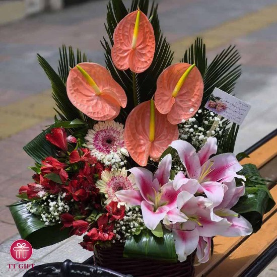 Shokoufa Economic Flower Basket for Opening