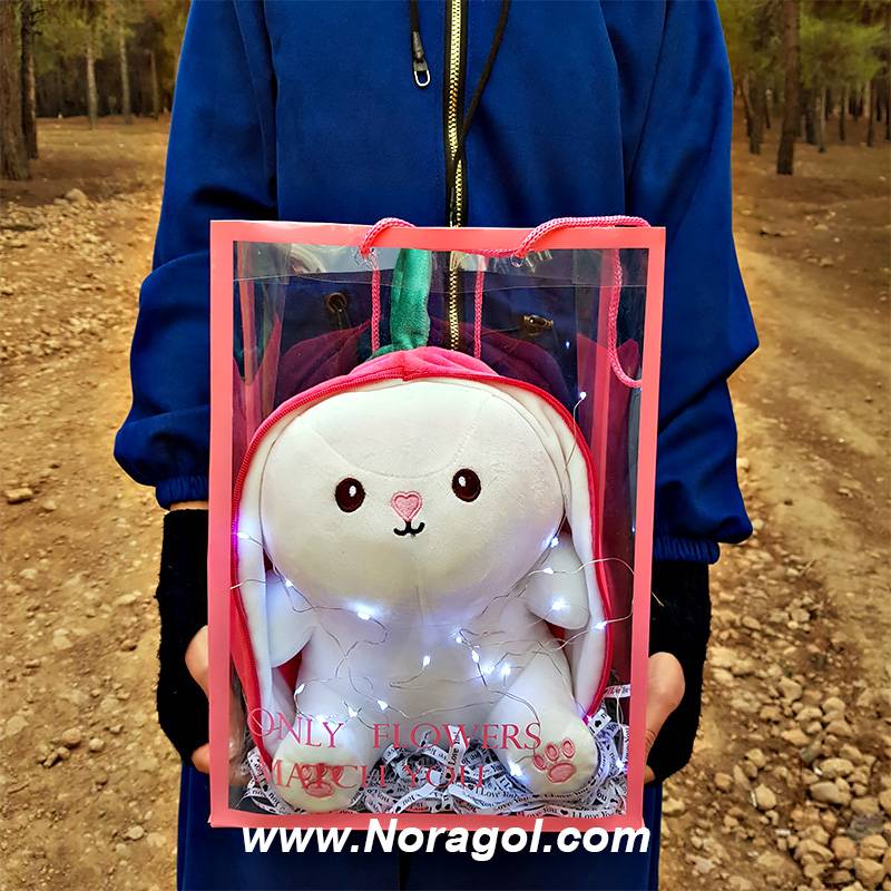 بگ خرگوش سورپرایزی