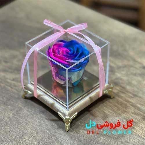 رز جاودان بنفش 414
