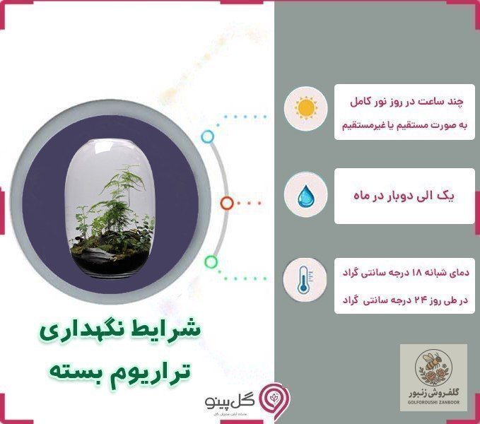تراریوم گل آرینا | کد: ZNB-HJZ