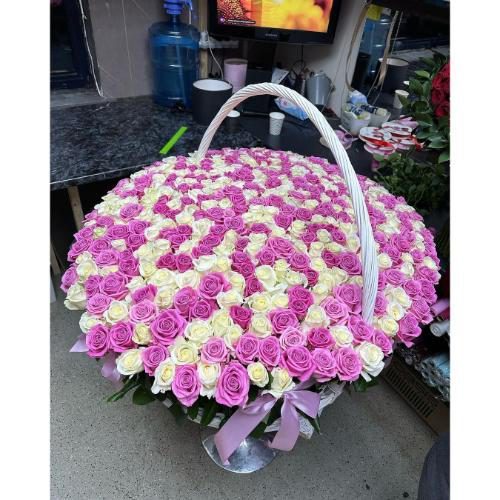 جام گل رز خواستگاری 6352