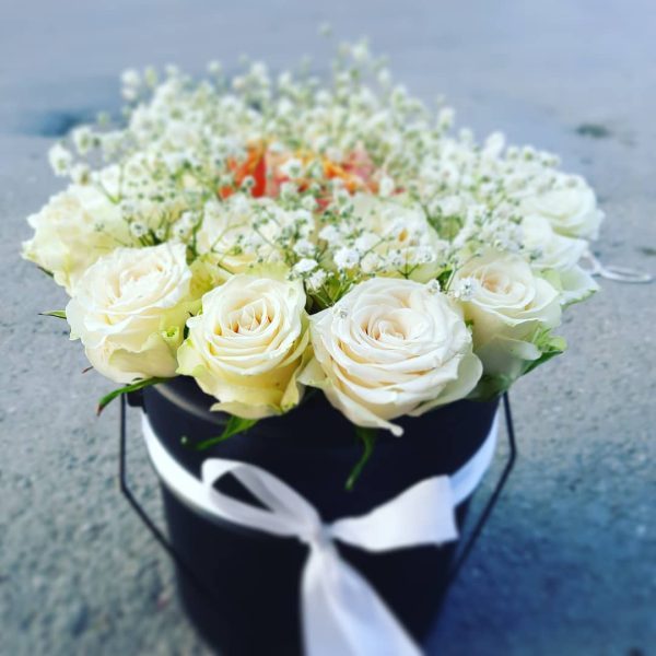 باکس رز هلندی کد 2653