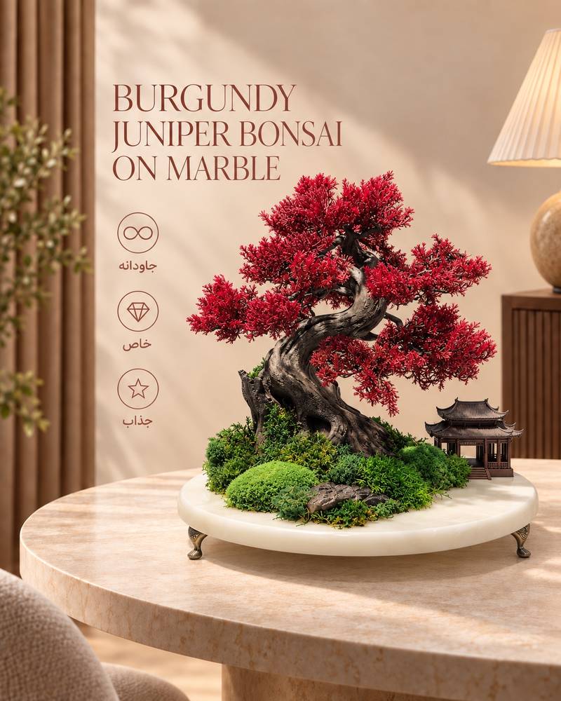 Burgundy Juniper Bonsai on Marble