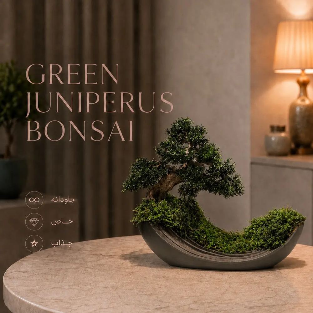 Green Juniperus Bonsai