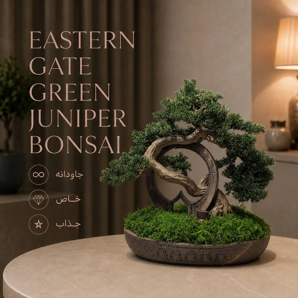 Eastern Gate Green Juniper Bonsai