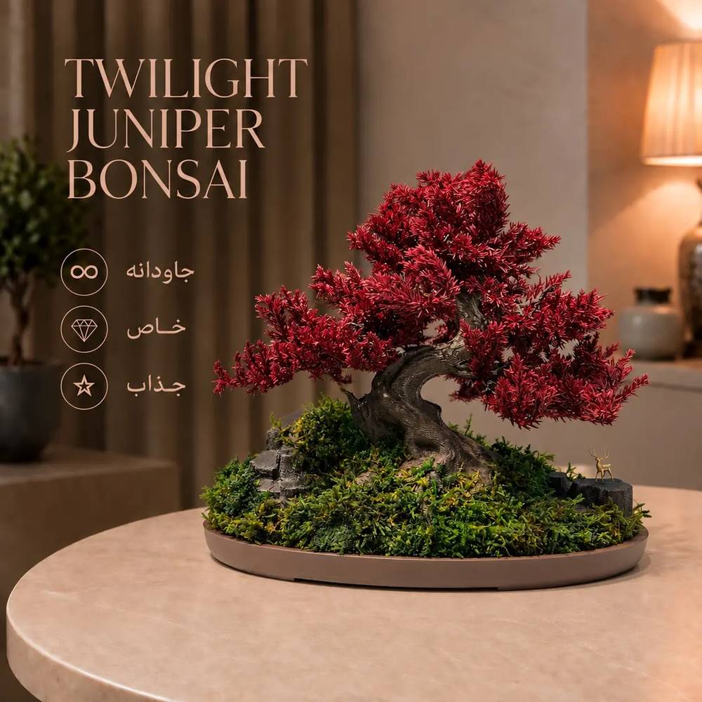 Twilight Juniper Bonsai