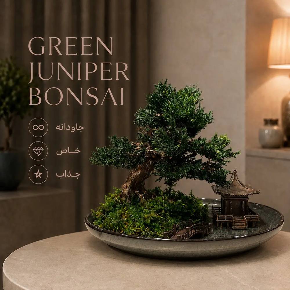 Green Juniper Bonsai
