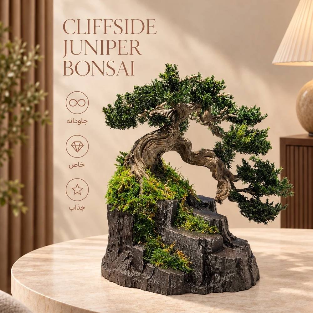 Cliffside Juniper Bonsai