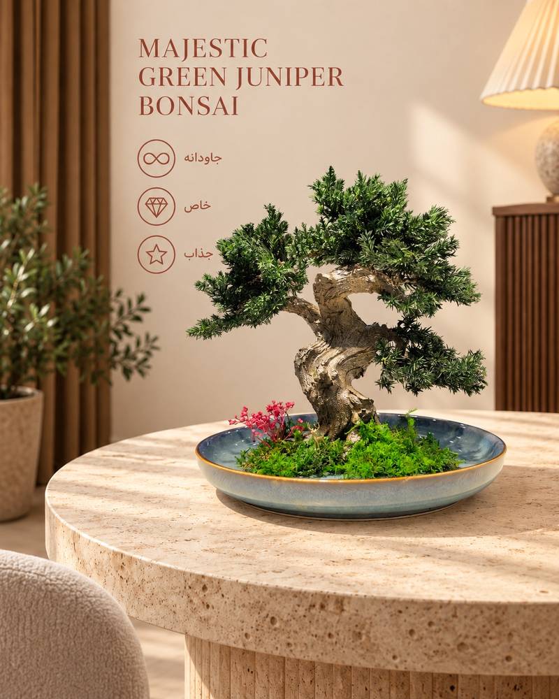 Majestic Green Juniper Bonsai
