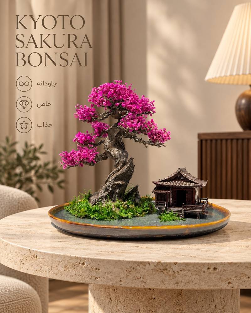 Kyoto Sakura Bonsai