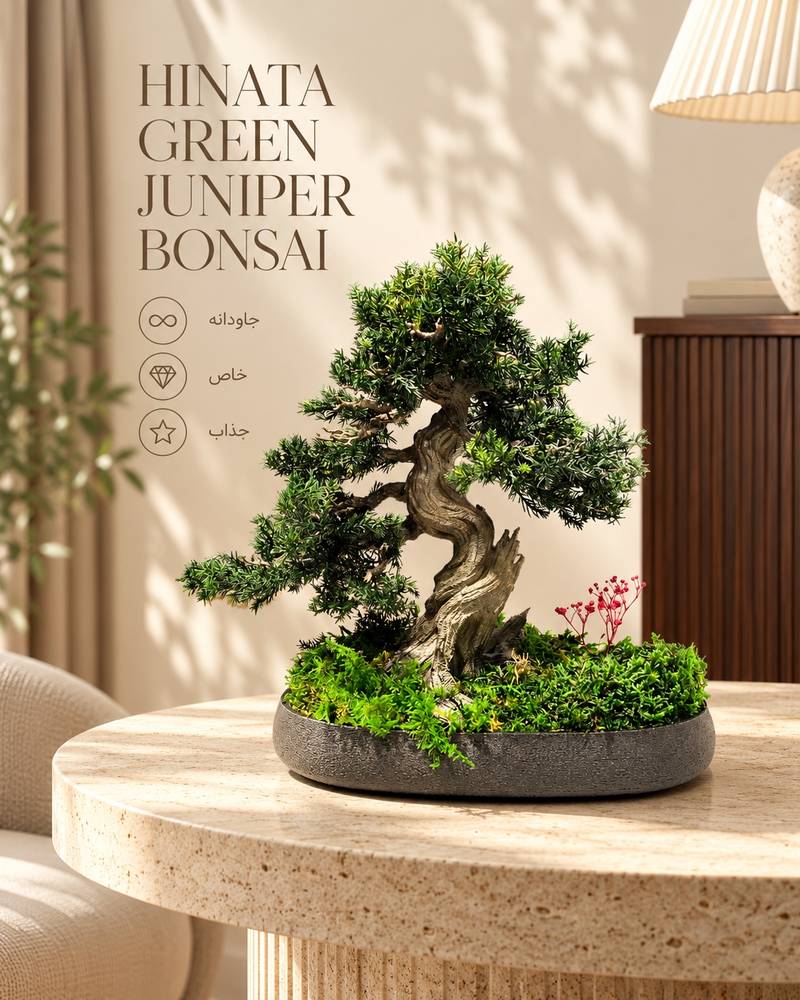 Hinata Green Juniper Bonsai