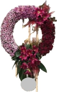 تاج گل یک 4572