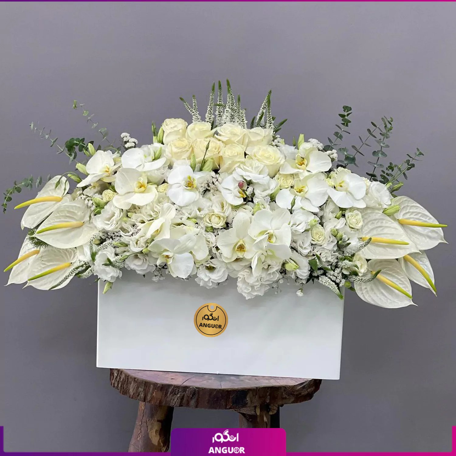 باکس گل ترحیم آنتوریوم، رز، ارکیده و…