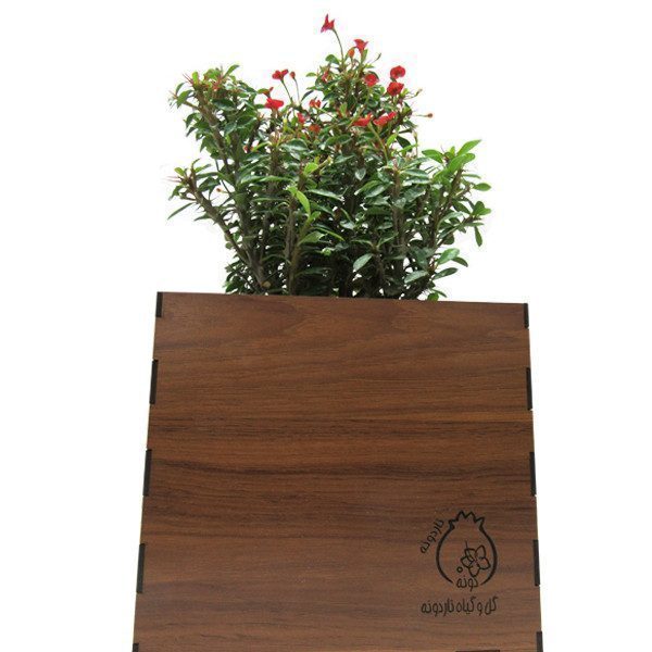 باکس گل هپی | کد: ZNB-11W5