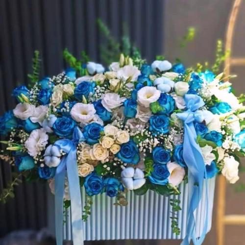 باکس رز ابی 6371