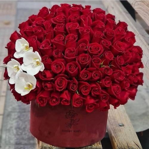 باکس گل رز تولد برای خواهر 6072