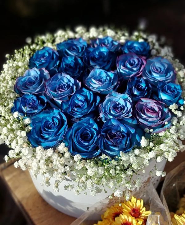 باکس رز آبی کد 4583
