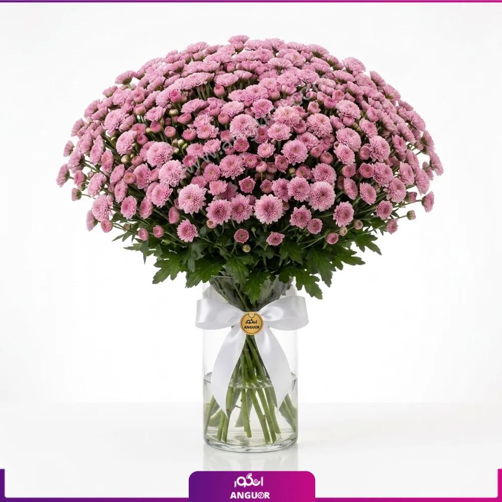 جار گل داوودی