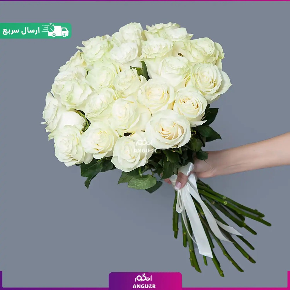 دسته گل 25 شاخه رز سفید ممتاز (رز هلندی)