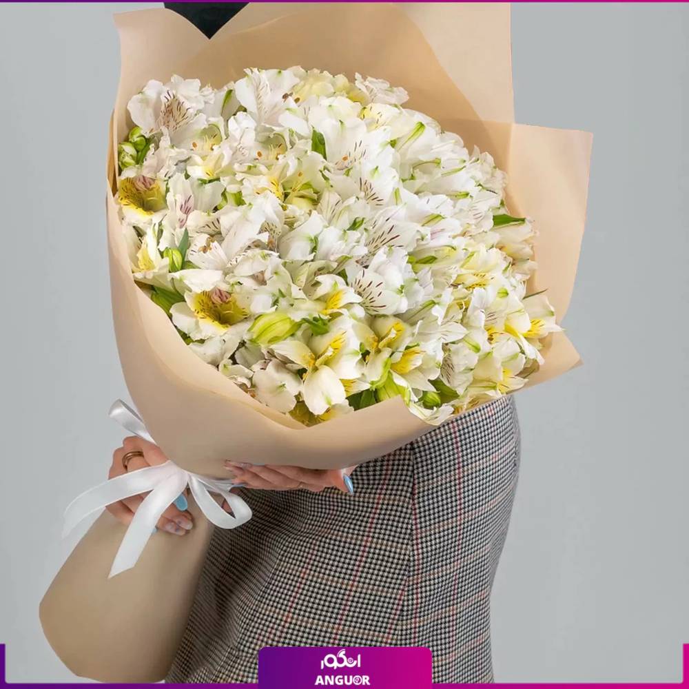 دسته گل آلسترومریا سفید 29 شاخه
