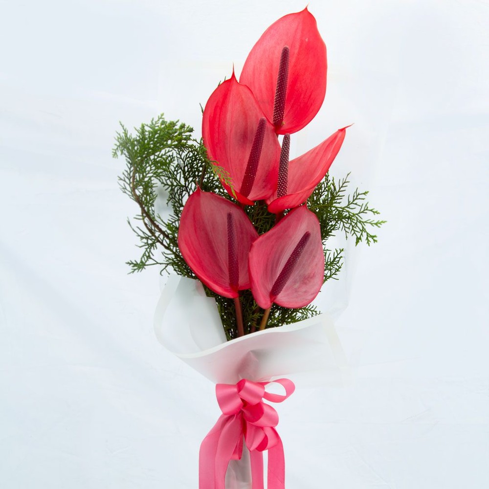 دسته گل آنتوریوم کد 52113