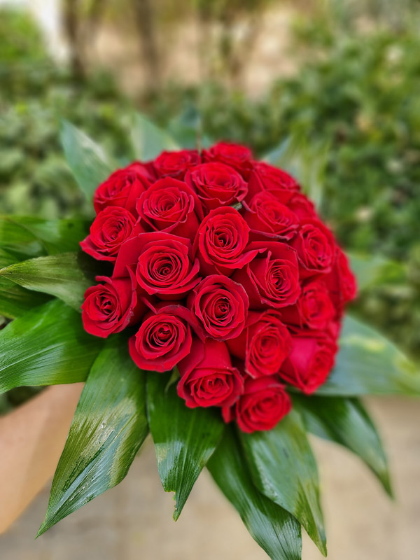 دسته گل 30 شاخه رز هلندی کد 340 – گل فروشی آنلاین رزگاردن
