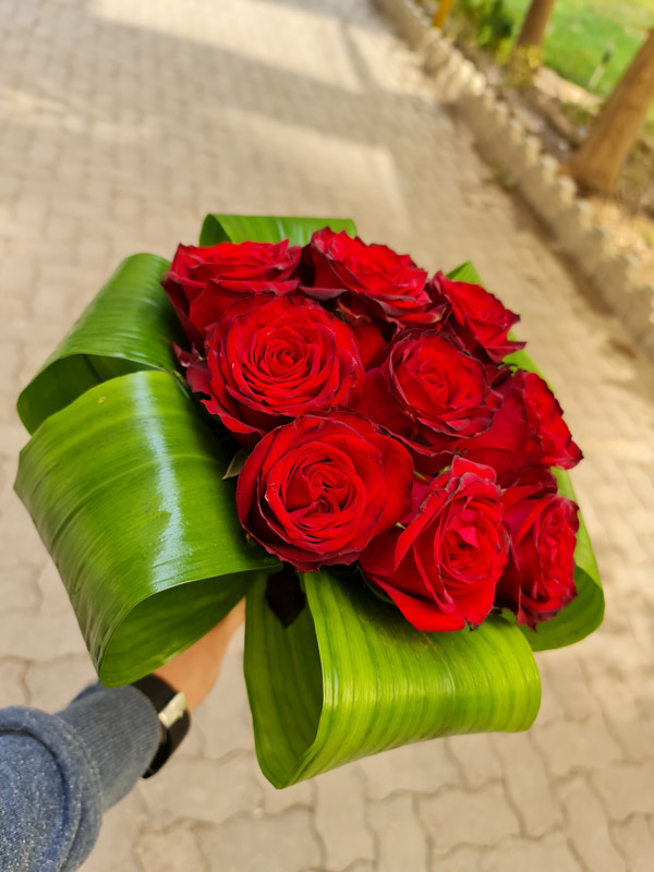 دسته گل 10 شاخه رز هلندی کد 177 – گل فروشی آنلاین رزگاردن