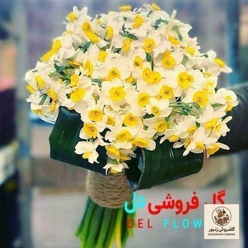 دسته گل نرگس 169 | کد: ZNB-TRB-F24B3CFDF1B54FF5B07E5622A375CD2C