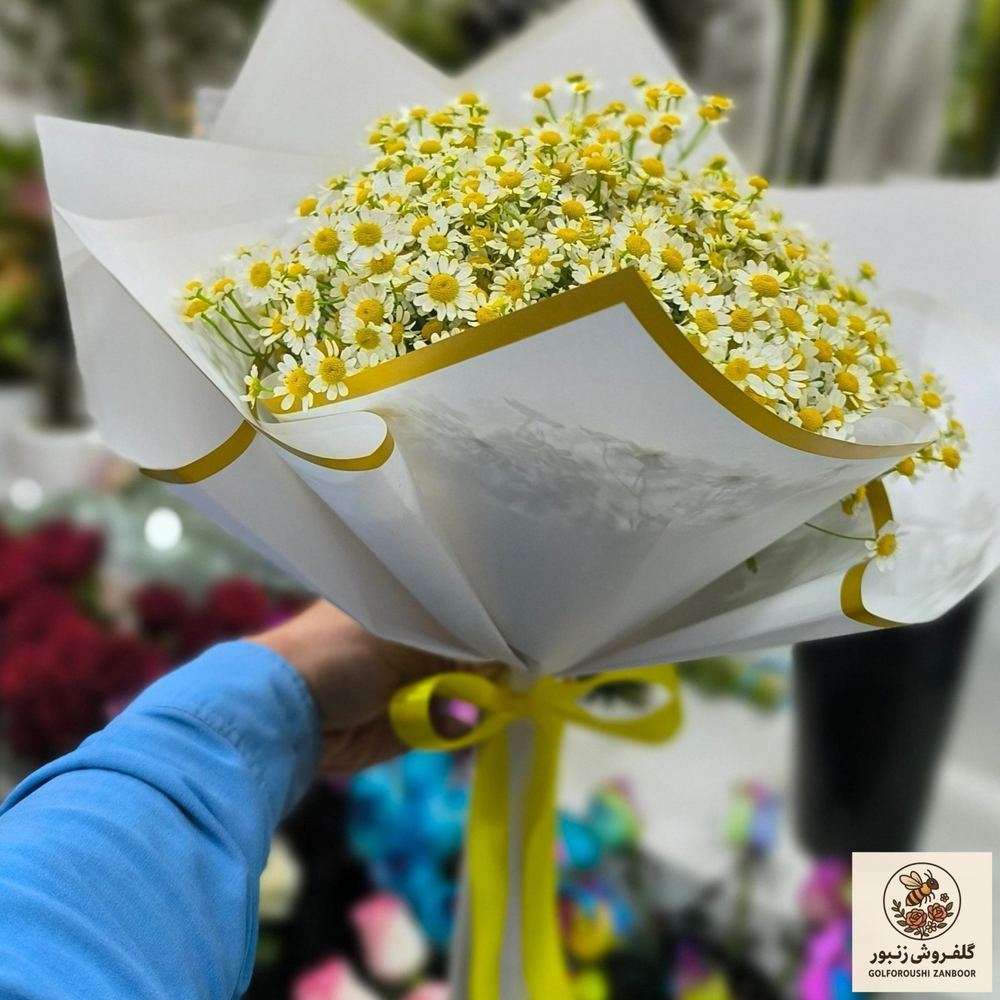 دسته گل بابونه | کد: ZNB-EJP