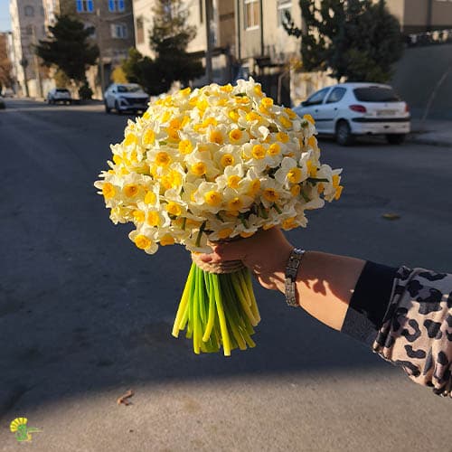 دسته گل نرگس کد 5