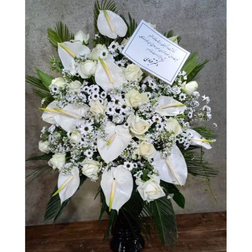 جام برای گل 9011