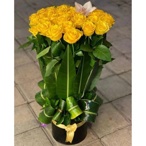 جام گل رز زرد 6354