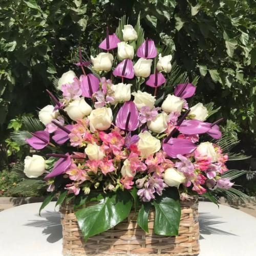 سبد گل رز برای تبریک 6328