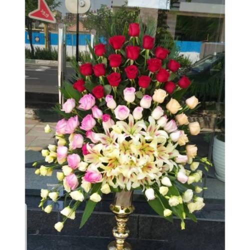 جام گل افتتاحیه 1172