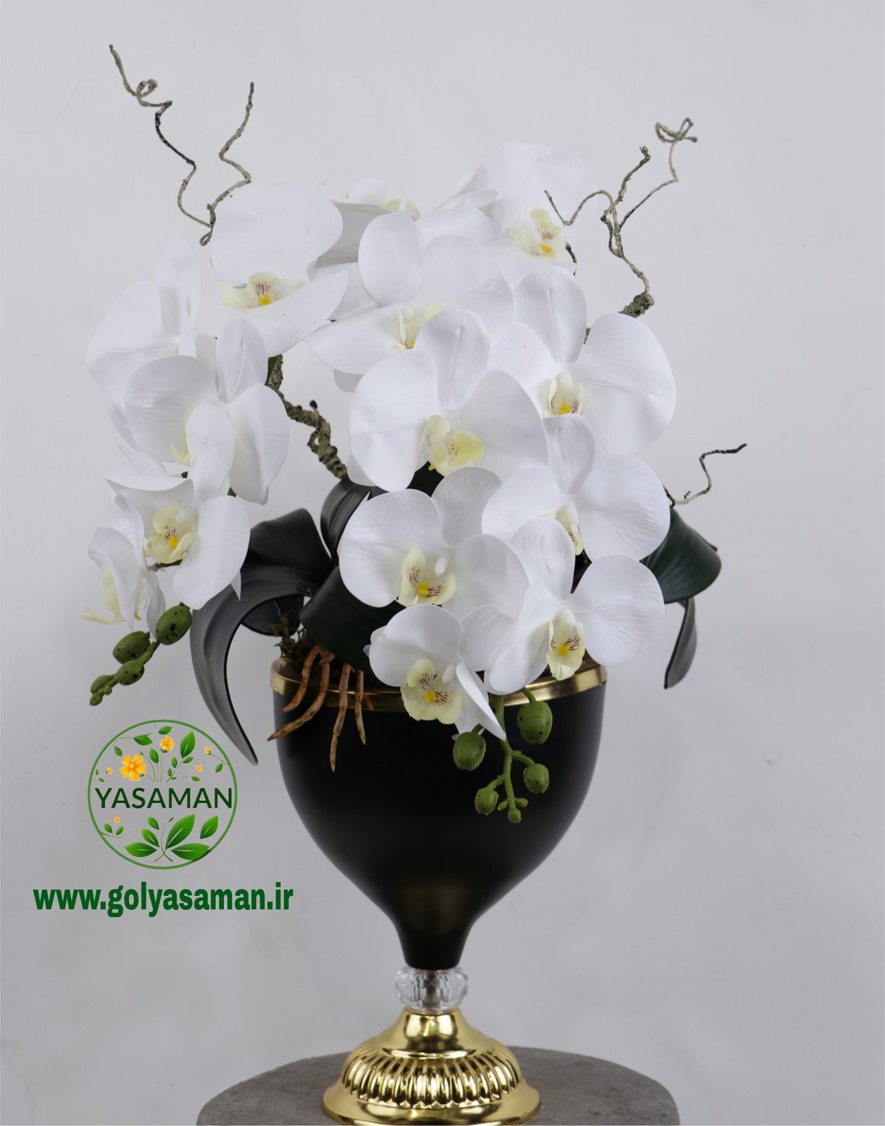 جام لوکس ارکیده