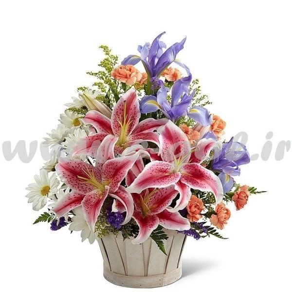 سبد گل صوفیا