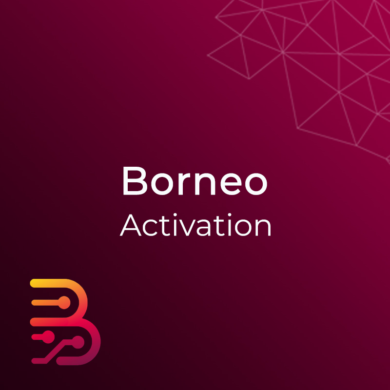 اکتیویشن شماتیک Borneo