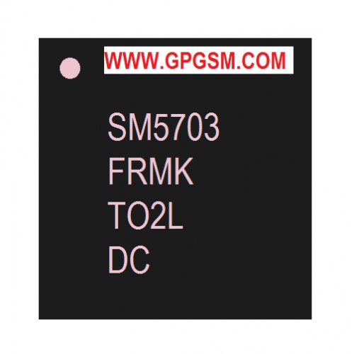 IC SM 5703 USB & CHARGE J5 J7 SAMSUNG