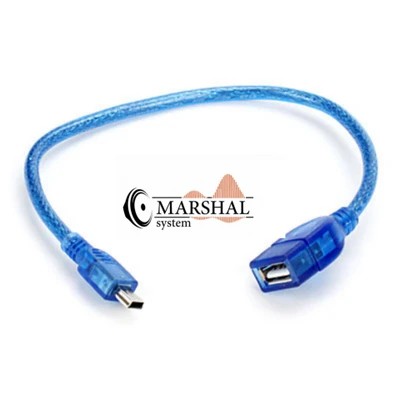 کابل ذوزنقه ای مادگی Usb به Mini usb دتکس
