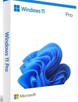 Windows 11 Pro Original-چند بار نصب